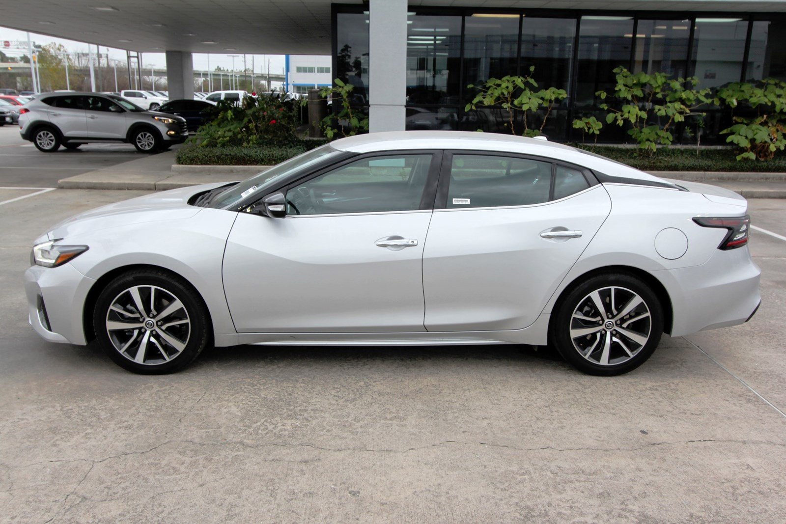 Pre-Owned 2019 Nissan Maxima SV 4dr Car in Humble #00006835 | Robbins ...