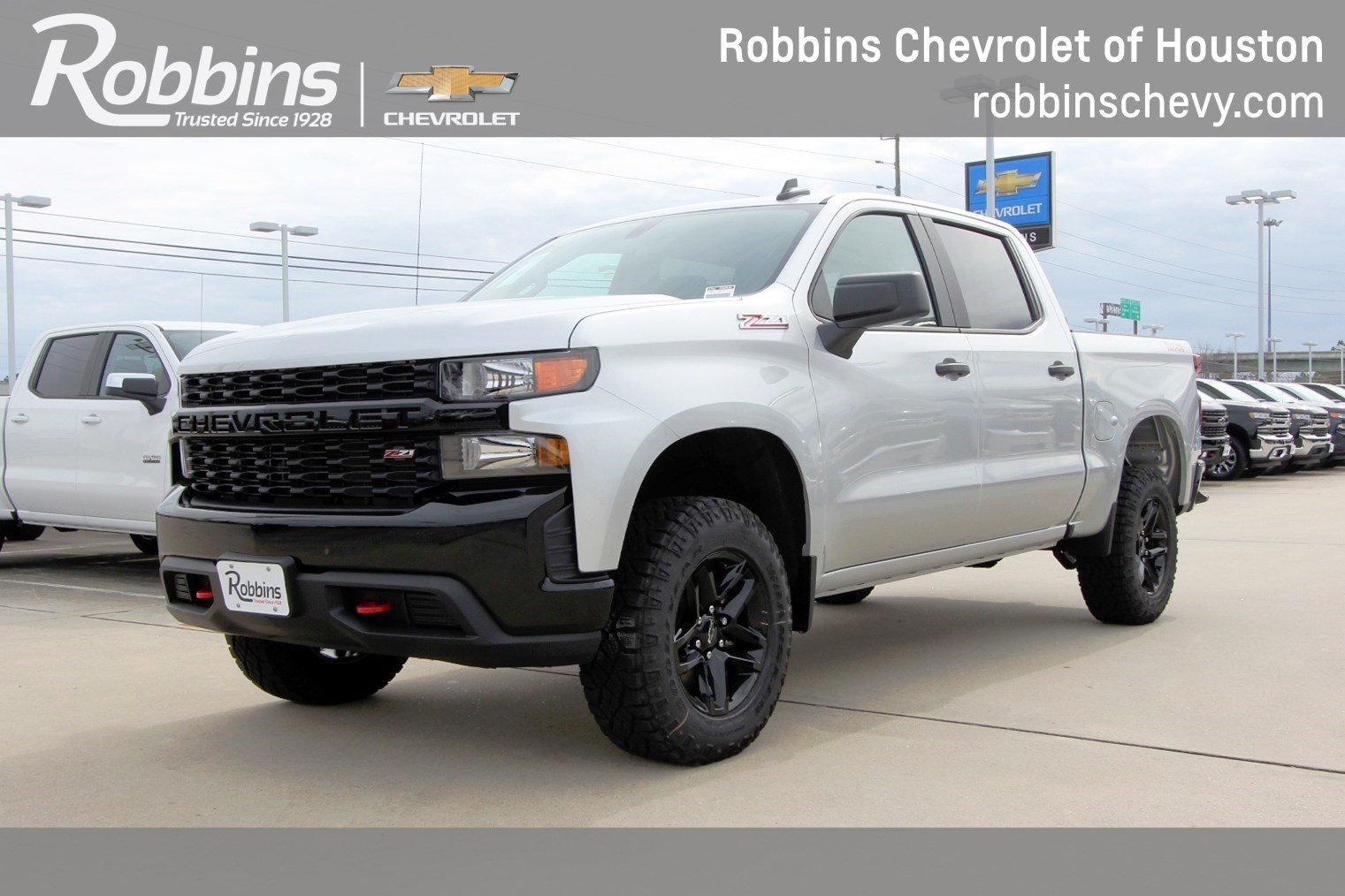 New 2020 Chevrolet Silverado 1500 Custom Trail Boss Crew Cab Pickup in ...